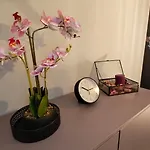 Liliowe Marzenie Appartement