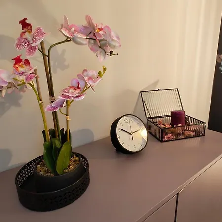 Liliowe Marzenie Lägenhet